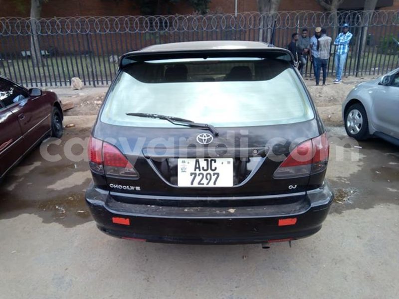 Big with watermark 30629329 194112211393369 244064733525704704 n