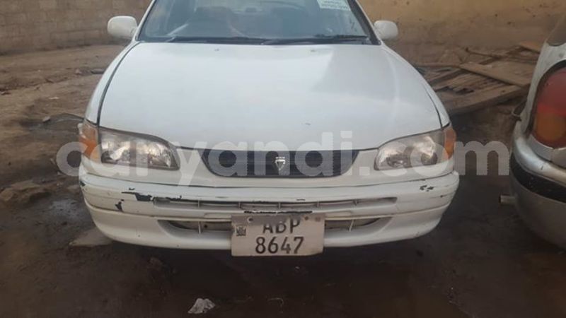 Big with watermark 30623955 578122035882356 6857030771144654848 n