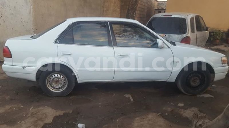 Big with watermark 30629329 194112211393369 244064733525704704 n