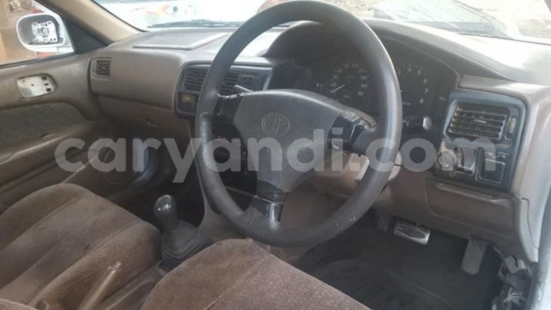 Big with watermark 30705011 1080215435450894 1812932972978896896 n