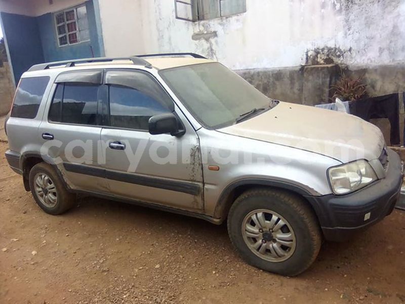 Big with watermark 30629329 194112211393369 244064733525704704 n