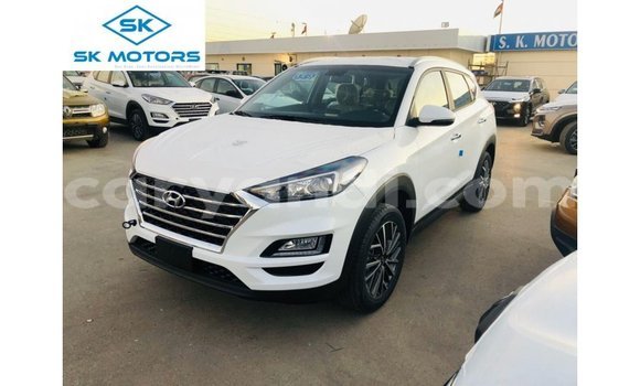 Buy Import Hyundai Tucson White Car in Import - Dubai in Zambia