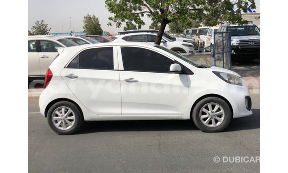 Tenga Imported Kia Picanto Chena Mota in Import - Dubai in Zambia Tenga Imported Kia Picanto Chena Mota in Import - Dubai in Zambia