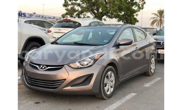 Buy Import Hyundai Elantra Brown Car in Import - Dubai in Zambia Buy Import Hyundai Elantra Brown Car in Import - Dubai in Zambia
