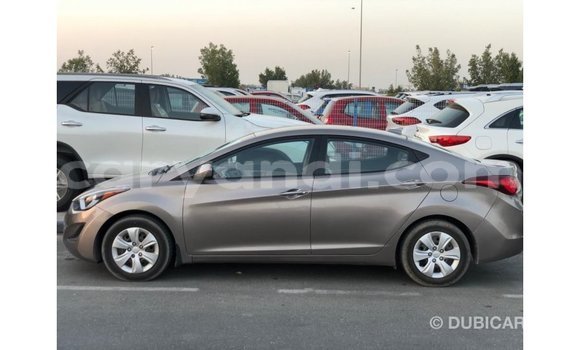 Buy Import Hyundai Elantra Brown Car in Import - Dubai in Zambia Buy Import Hyundai Elantra Brown Car in Import - Dubai in Zambia