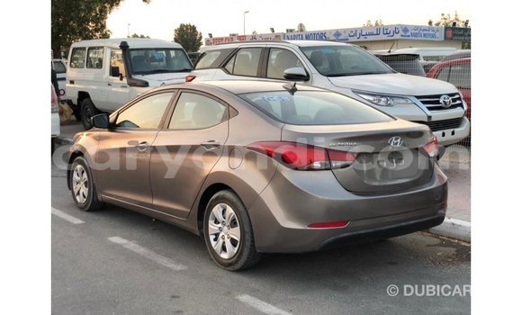 Buy Import Hyundai Elantra Brown Car in Import - Dubai in Zambia Buy Import Hyundai Elantra Brown Car in Import - Dubai in Zambia