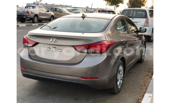 Buy Import Hyundai Elantra Brown Car in Import - Dubai in Zambia Buy Import Hyundai Elantra Brown Car in Import - Dubai in Zambia