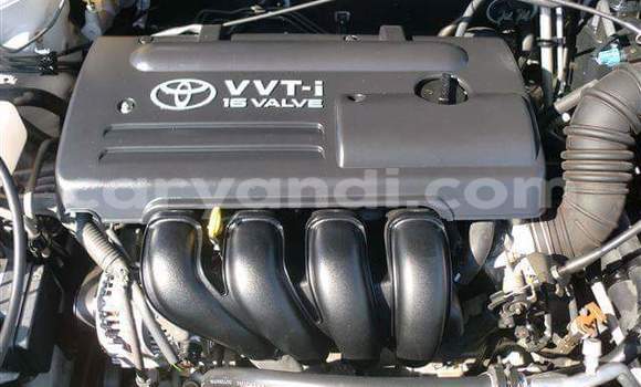 Tenga Tsaru Toyota 4Runner Chena Mota in Chingola in Zambia Tenga Tsaru Toyota 4Runner Chena Mota in Chingola in Zambia