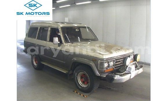 Acheter Import Voiture Toyota Land Cruiser Autre à Import - Dubai, Zambie