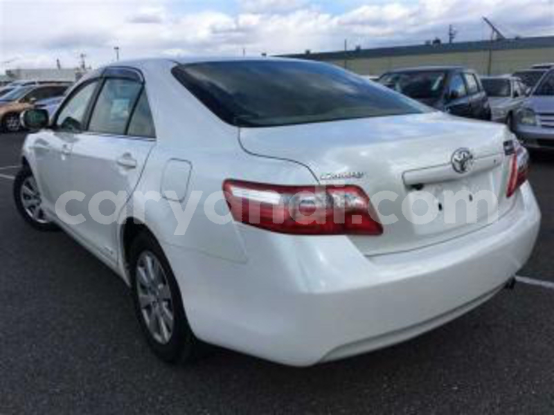 Big with watermark img 0772