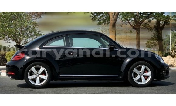 Buy Import Volkswagen Beetle Black Car in Import - Dubai in Zambia Buy Import Volkswagen Beetle Black Car in Import - Dubai in Zambia