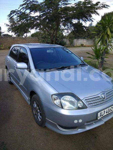 Big with watermark 30623955 578122035882356 6857030771144654848 n