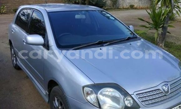 Buy Used Toyota Allex Silver Car in Lusaka in Zambia Buy Used Toyota Allex Silver Car in Lusaka in Zambia