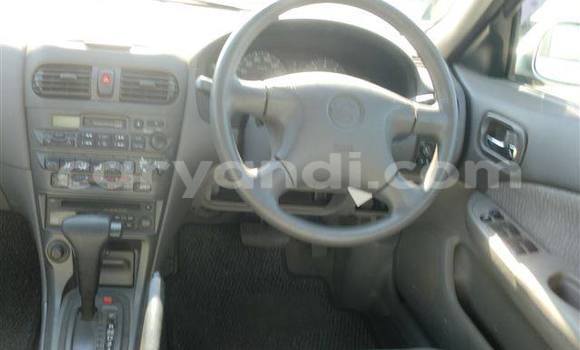 Tenga Tsaru Nissan Sunny Zvimwe Mota in Chingola in Zambia Tenga Tsaru Nissan Sunny Zvimwe Mota in Chingola in Zambia