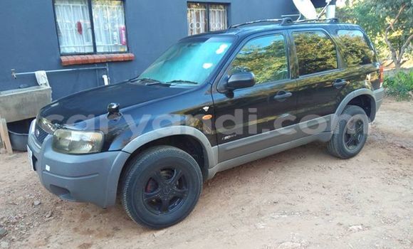 Tenga Tsaru Ford Escape Nhema Mota in Lusaka in Zambia Tenga Tsaru Ford Escape Nhema Mota in Lusaka in Zambia