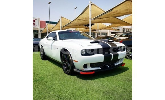 Buy Import Dodge Challenger White Car in Import - Dubai in Zambia