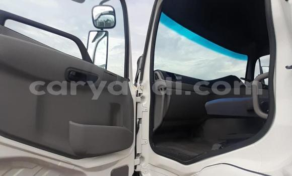Acheter Occasion Utilitaire Nissan UD Blanc à Choma, Du sud Acheter Occasion Utilitaire Nissan UD Blanc à Choma, Du sud