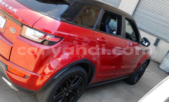 Buy Used Rover SD1 Red Car in Choma in Southern