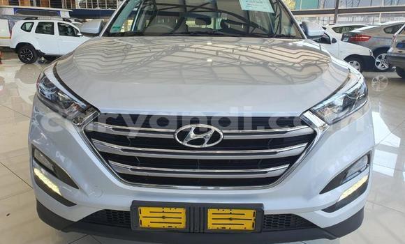 Buy Used Hyundai Tucson Silver Car in Zambezi in North-Western