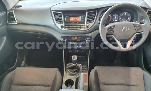 Tenga Tsaru Hyundai Tucson Sirivha Mota in Zambezi in North-Western Tenga Tsaru Hyundai Tucson Sirivha Mota in Zambezi in North-Western