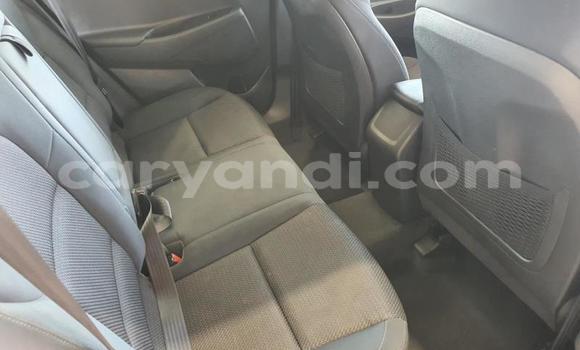 Tenga Tsaru Hyundai Tucson Sirivha Mota in Zambezi in North-Western Tenga Tsaru Hyundai Tucson Sirivha Mota in Zambezi in North-Western