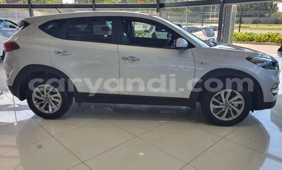 Tenga Tsaru Hyundai Tucson Sirivha Mota in Zambezi in North-Western Tenga Tsaru Hyundai Tucson Sirivha Mota in Zambezi in North-Western