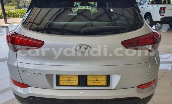 Tenga Tsaru Hyundai Tucson Sirivha Mota in Zambezi in North-Western Tenga Tsaru Hyundai Tucson Sirivha Mota in Zambezi in North-Western