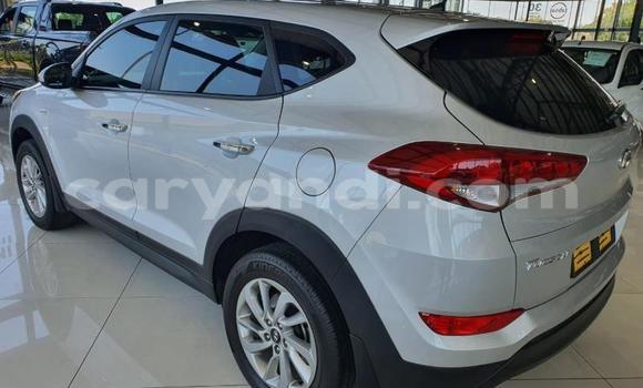 Tenga Tsaru Hyundai Tucson Sirivha Mota in Zambezi in North-Western Tenga Tsaru Hyundai Tucson Sirivha Mota in Zambezi in North-Western