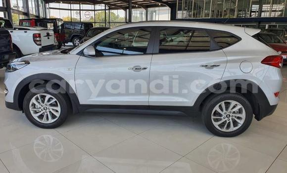 Tenga Tsaru Hyundai Tucson Sirivha Mota in Zambezi in North-Western Tenga Tsaru Hyundai Tucson Sirivha Mota in Zambezi in North-Western