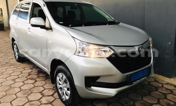 Tenga Tsaru Toyota Avanza Sirivha Mota in Chilanga in Lusaka Tenga Tsaru Toyota Avanza Sirivha Mota in Chilanga in Lusaka