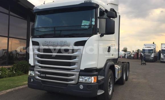 Buy Used Scania R420 Other Truck in Choma in Southern