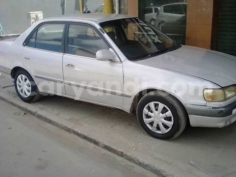 Big with watermark 30623955 578122035882356 6857030771144654848 n