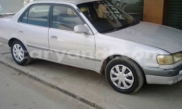 Buy Used Toyota Corolla Silver Car in Lusaka in Zambia Buy Used Toyota Corolla Silver Car in Lusaka in Zambia