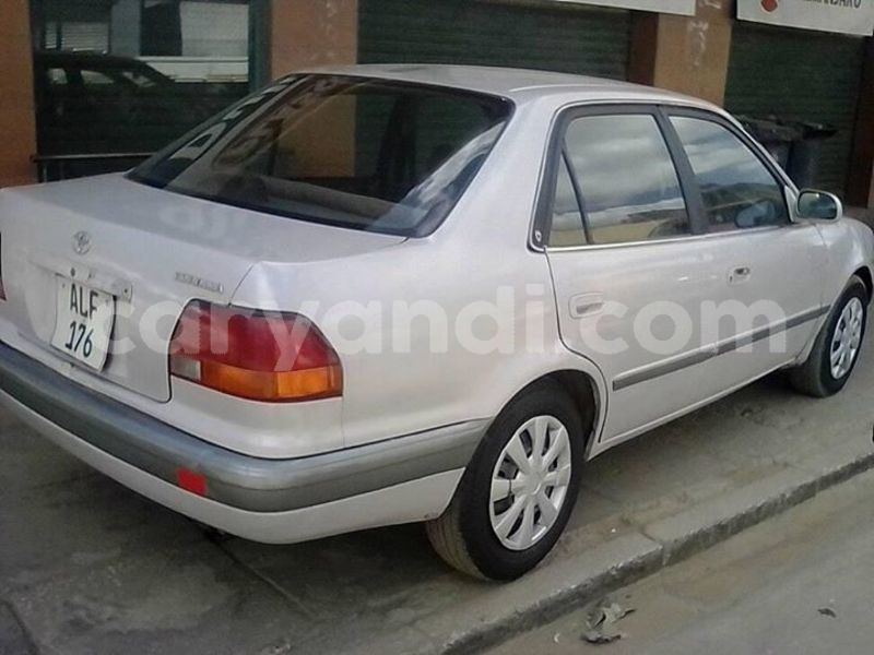 Big with watermark 30629329 194112211393369 244064733525704704 n