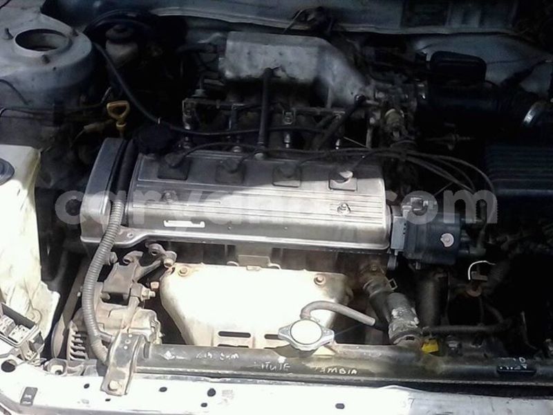 Big with watermark 30713367 2109701875916457 3681336901257956076 n