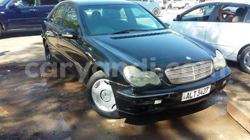 Big with watermark 30623955 578122035882356 6857030771144654848 n