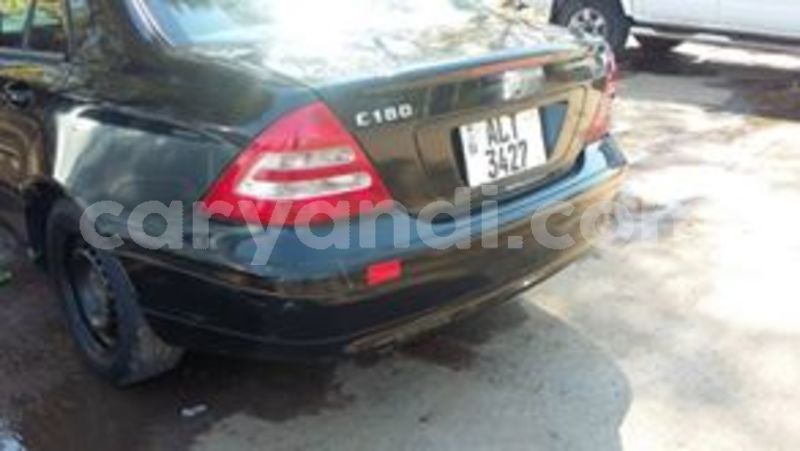 Big with watermark 30629329 194112211393369 244064733525704704 n