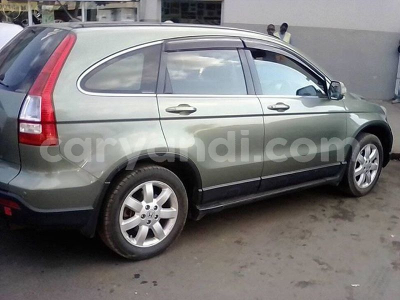 Big with watermark 30629329 194112211393369 244064733525704704 n