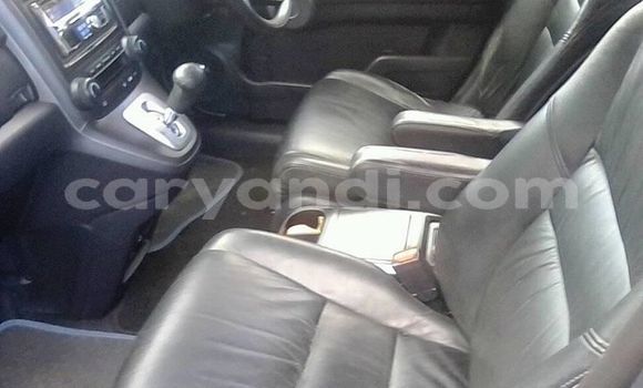 Buy Used Honda CR–V Other Car in Lusaka in Zambia Buy Used Honda CR–V Other Car in Lusaka in Zambia