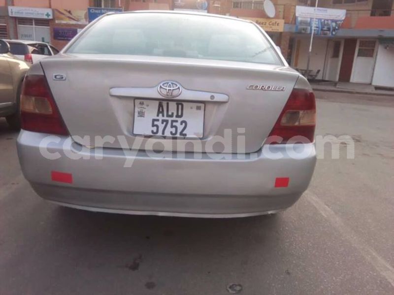 Big with watermark 30629329 194112211393369 244064733525704704 n