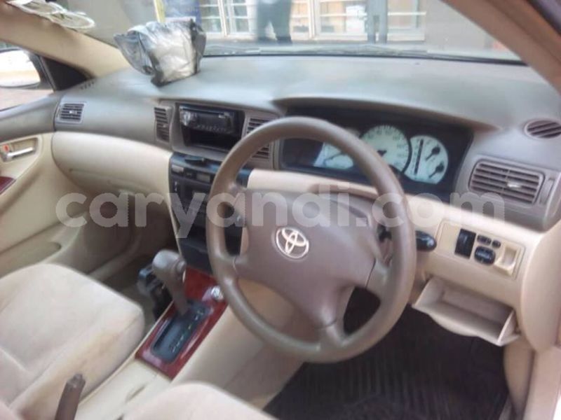 Big with watermark 30705011 1080215435450894 1812932972978896896 n