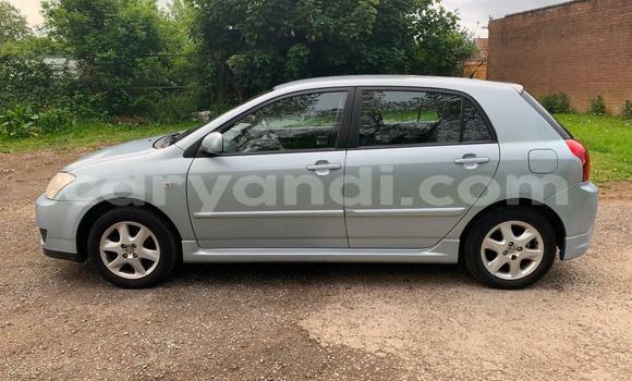 Buy Used Toyota Runx Blue Car in Chipata in Zambia