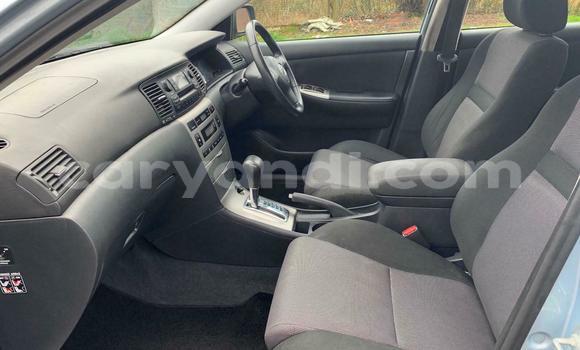 Acheter Occasion Voiture Toyota Runx Bleu à Chipata, Zambie Acheter Occasion Voiture Toyota Runx Bleu à Chipata, Zambie