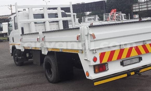 Acheter Occasion Utilitaire Isuzu FTR 850 Blanc à Chingola, Zambie Acheter Occasion Utilitaire Isuzu FTR 850 Blanc à Chingola, Zambie