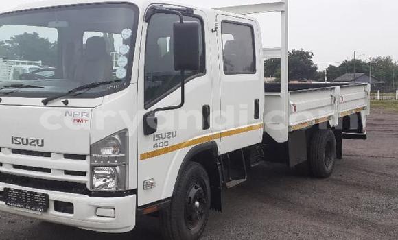 Acheter Occasion Utilitaire Isuzu FTR 850 Blanc à Chingola, Zambie Acheter Occasion Utilitaire Isuzu FTR 850 Blanc à Chingola, Zambie