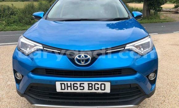 Buy Used Toyota RAV4 Blue Car in Chipata in Zambia Buy Used Toyota RAV4 Blue Car in Chipata in Zambia