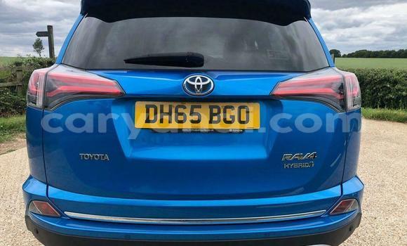 Buy Used Toyota RAV4 Blue Car in Chipata in Zambia Buy Used Toyota RAV4 Blue Car in Chipata in Zambia