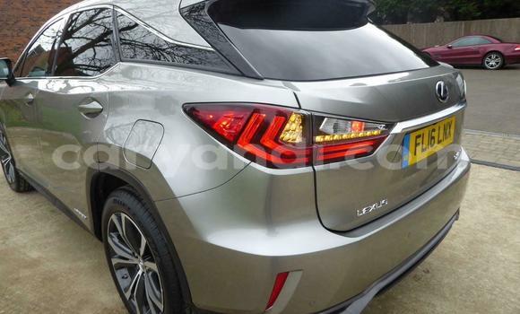 Buy Used Lexus RX Beige Car in Chipata in Zambia Buy Used Lexus RX Beige Car in Chipata in Zambia