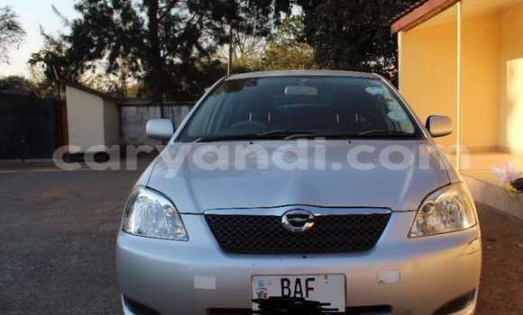 Buy Used Toyota Runx Silver Car in Lusaka in Zambia Buy Used Toyota Runx Silver Car in Lusaka in Zambia