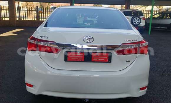 Buy Used Toyota Corolla White Car in Chilanga in Lusaka Buy Used Toyota Corolla White Car in Chilanga in Lusaka